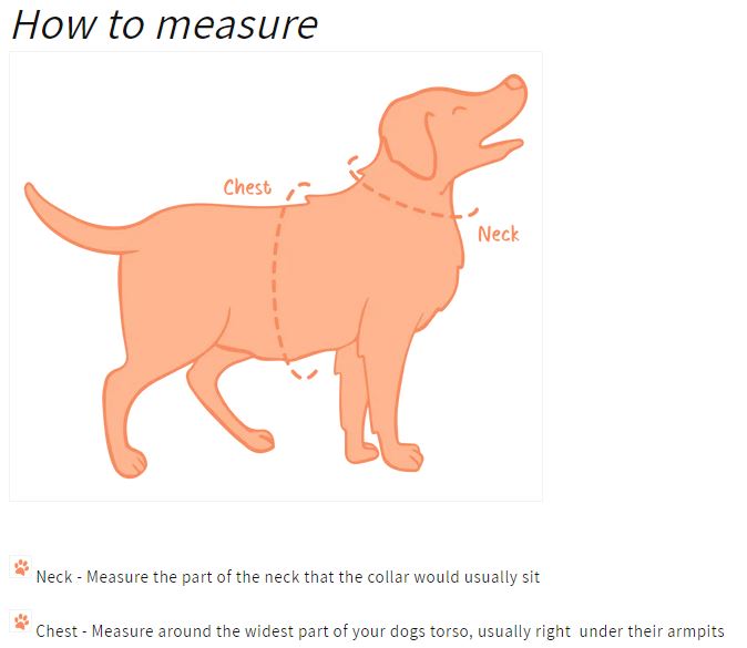 oxford "oasis" adjustable dog collar – by flossie & floof oxford "oasis" adjustable dog collar – by flossie & floof