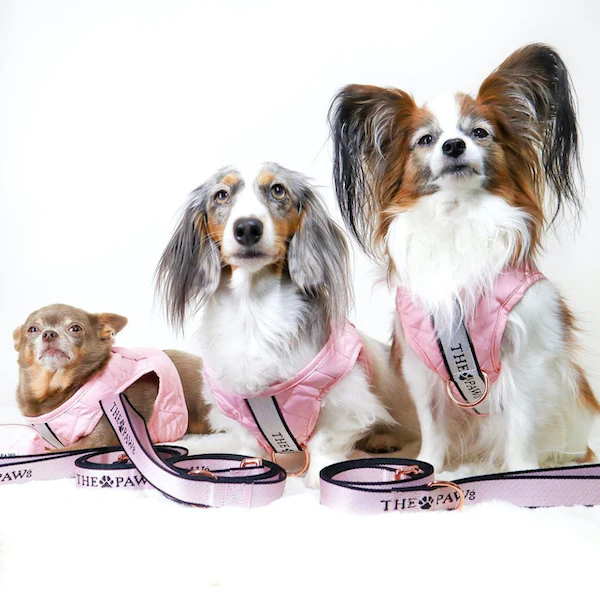 brooklyn dog harness (blush)– by the paw co. brooklyn dog harness (blush)– by the paw co.
