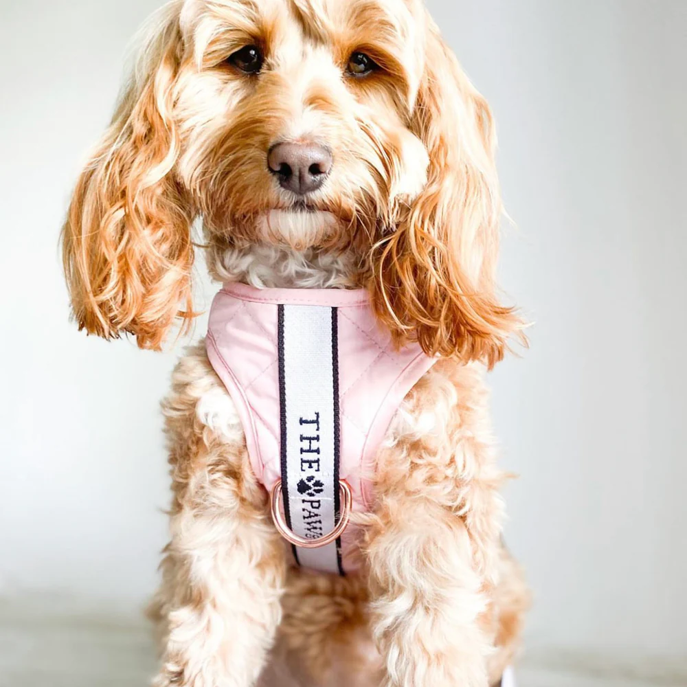 brooklyn dog harness (blush)– by the paw co. brooklyn dog harness (blush)– by the paw co.