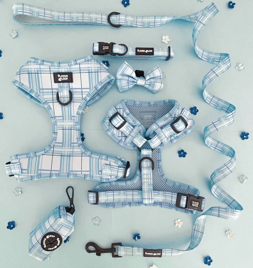 oxford "oasis" adjustable dog collar – by flossie & floof oxford "oasis" adjustable dog collar – by flossie & floof