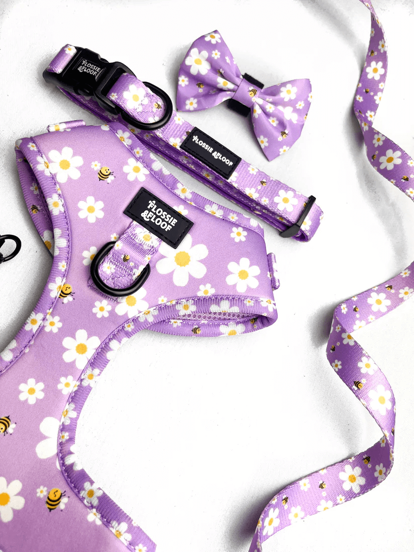 "cute as can bee 2.0" adjustable dog collar – by flossie & floof "cute as can bee 2.0" adjustable dog collar – by flossie & floof