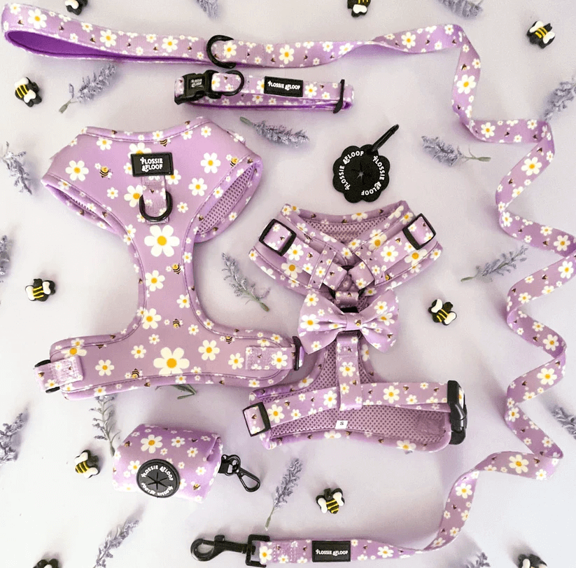 "cute as can be 2.0" adjustable dog harness – by flossie & floof "cute as can be 2.0" adjustable dog harness – by flossie & floof