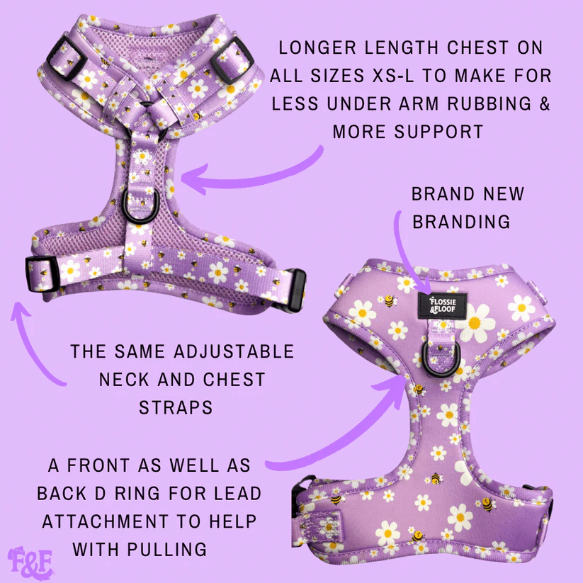 "cute as can be 2.0" adjustable dog harness – by flossie & floof "cute as can be 2.0" adjustable dog harness – by flossie & floof