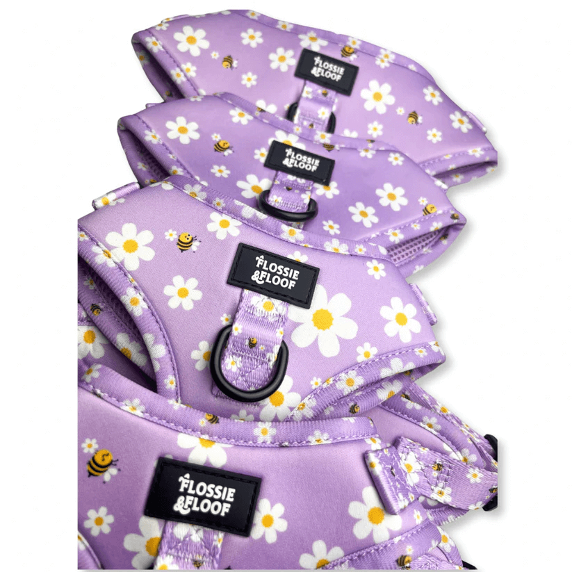 "cute as can be 2.0" adjustable dog harness – by flossie & floof "cute as can be 2.0" adjustable dog harness – by flossie & floof