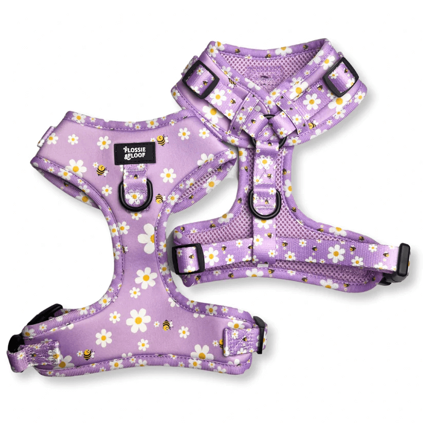 "cute as can be 2.0" adjustable dog harness – by flossie & floof "cute as can be 2.0" adjustable dog harness – by flossie & floof