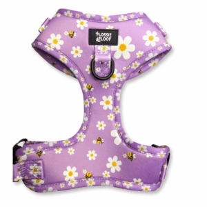 "cute as can be 2.0" adjustable dog harness – by flossie & floof