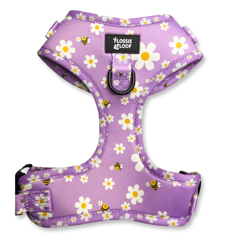 "cute as can be 2.0" adjustable dog harness – by flossie & floof "cute as can be 2.0" adjustable dog harness – by flossie & floof