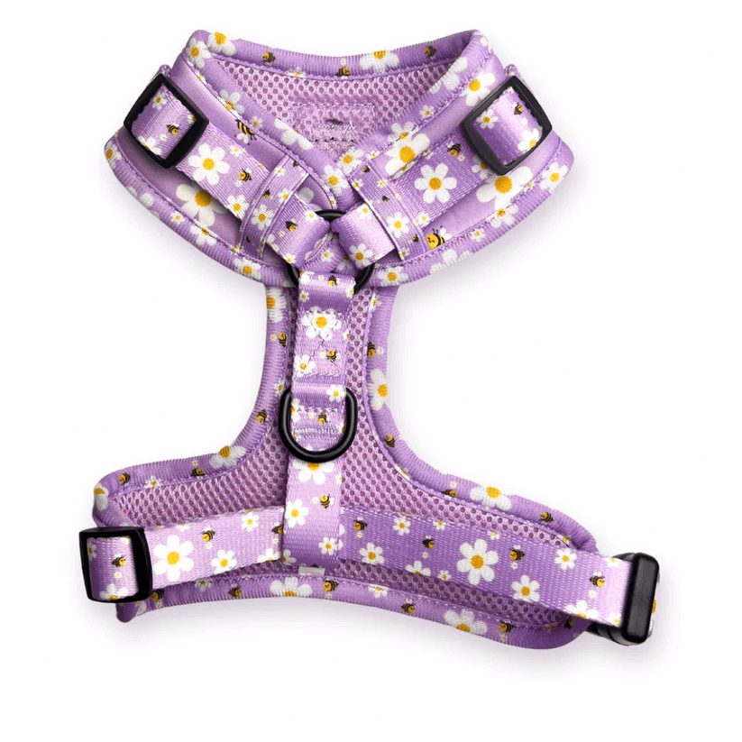 "cute as can be 2.0" adjustable dog harness – by flossie & floof "cute as can be 2.0" adjustable dog harness – by flossie & floof