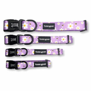 "cute as can bee 2.0" adjustable dog collar – by flossie & floof