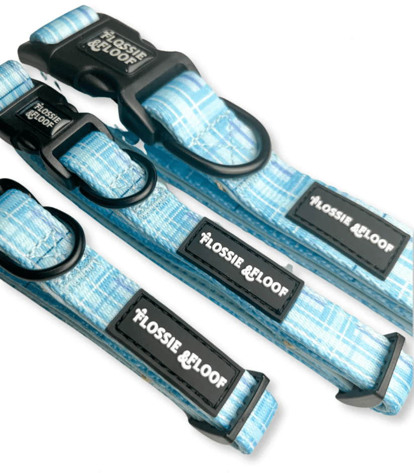 oxford "oasis" adjustable dog collar – by flossie & floof oxford "oasis" adjustable dog collar – by flossie & floof