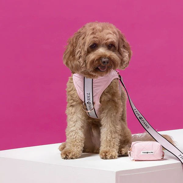 brooklyn dog harness (blush)– by the paw co. brooklyn dog harness (blush)– by the paw co.