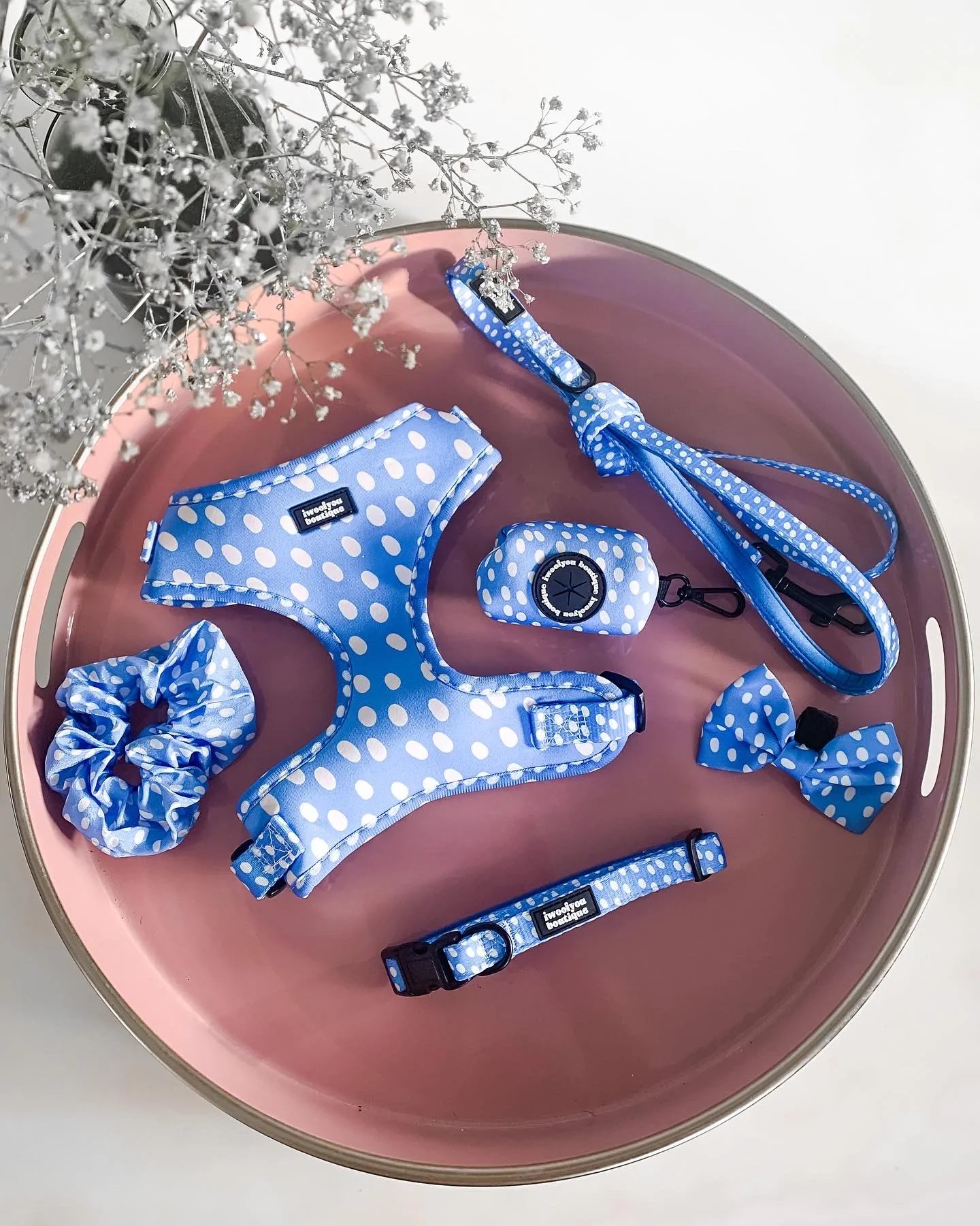 polka pups set (blue) by iwoofyouboutique polka pups set (blue) by iwoofyouboutique