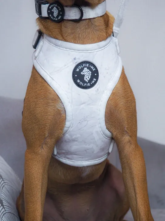 alaska adjustable harness by wolfie + me alaska adjustable harness by wolfie + me