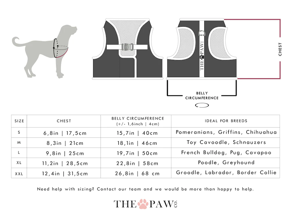 brooklyn dog harness (blush)– by the paw co. brooklyn dog harness (blush)– by the paw co.